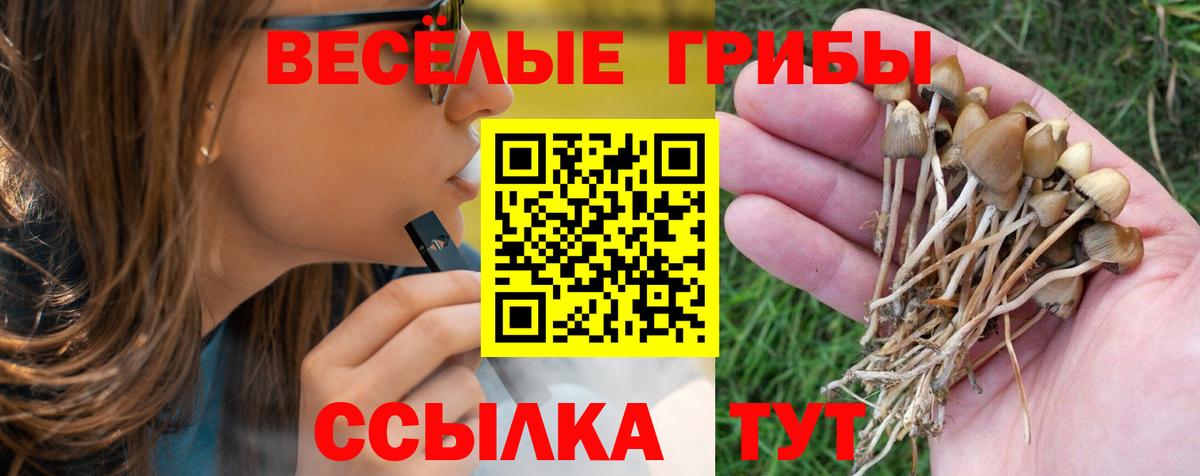 Псилоцибиновые грибы Psilocybe Ливны